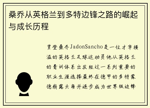 桑乔从英格兰到多特边锋之路的崛起与成长历程